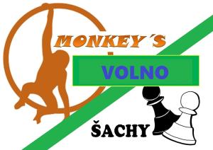 šachy, monkeys volné